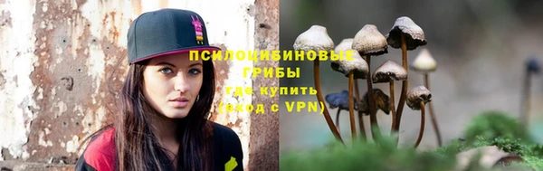 крисы Гусь-Хрустальный