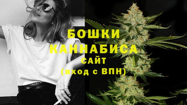 крисы Гусь-Хрустальный