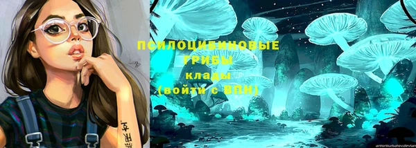 прущая мука Гусиноозёрск