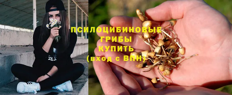 Галлюциногенные грибы Magic Shrooms  Жуков 