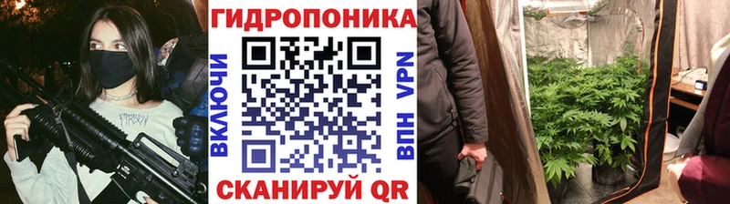 omg сайт  цены   Жуков  Бошки Шишки THC 21% 